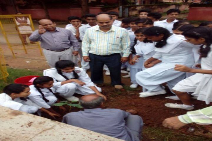 DAV Public School-Planting Tree