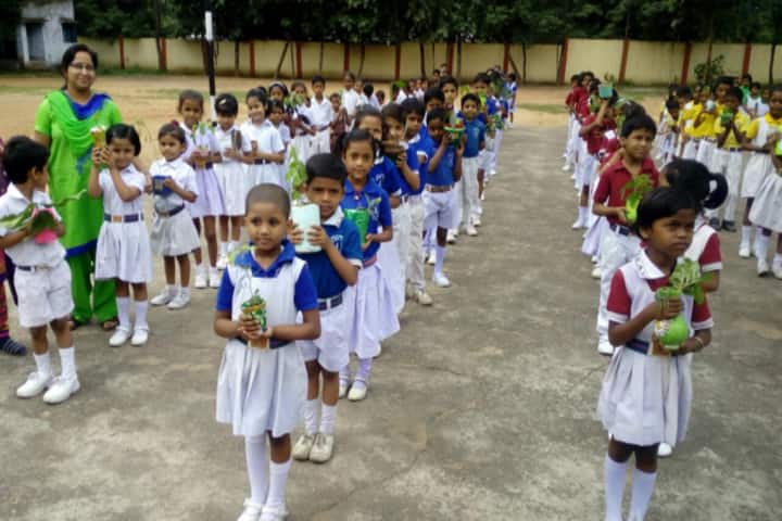 Dav Public School-Activity