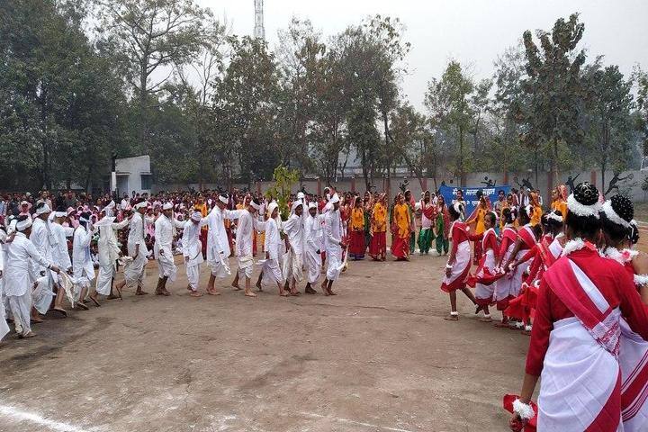 Dav Public School-Activity1