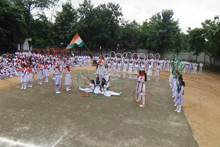 Dav Public School-Celebration