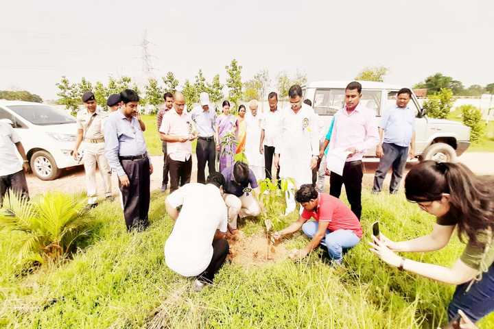 Esteem Public School - Tree planting