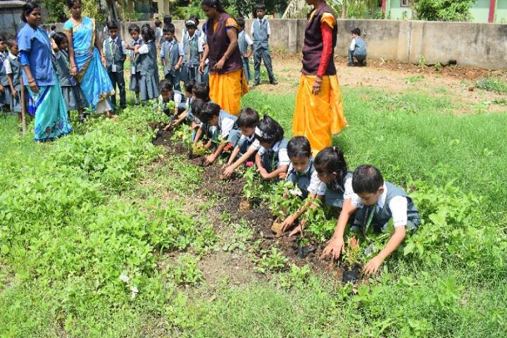 Holy Cross School-Tree Plantation