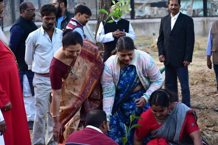 Mgm Higher Secondary School-Tree Plantation Activity