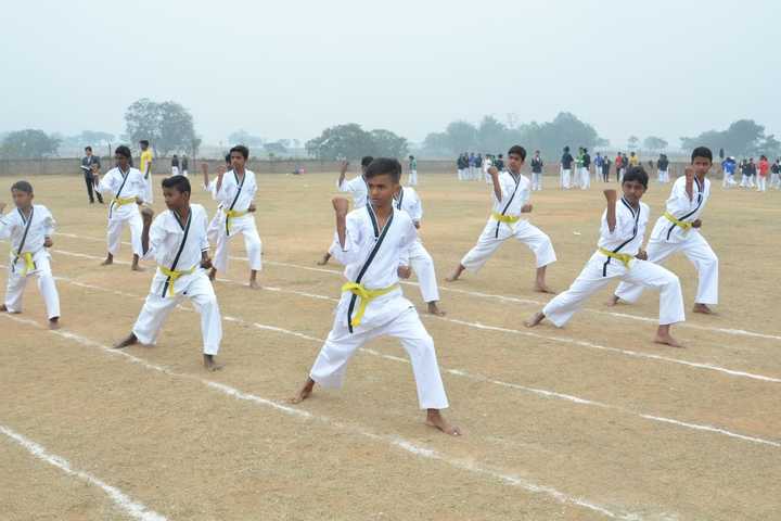 Mount Litera Zee School-Karate