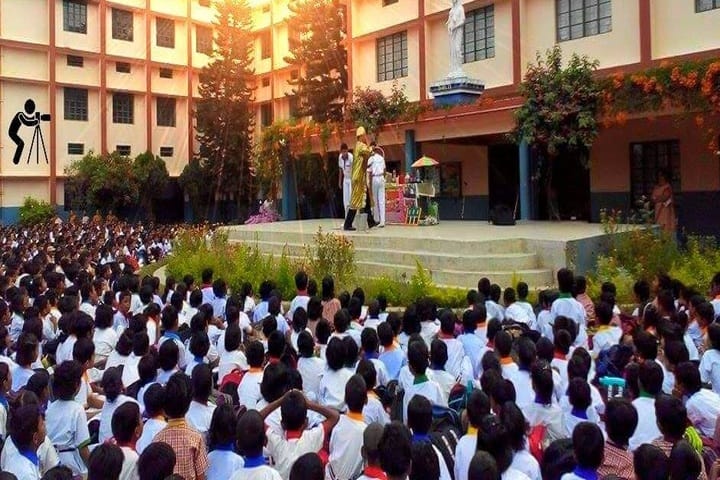 Notre Dame School-Activity