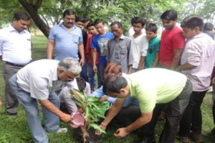 Tata D A V School-Plantation