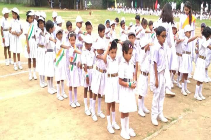 Tci Dav Public School-Independence Day