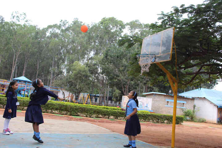 Air Force School-Sports