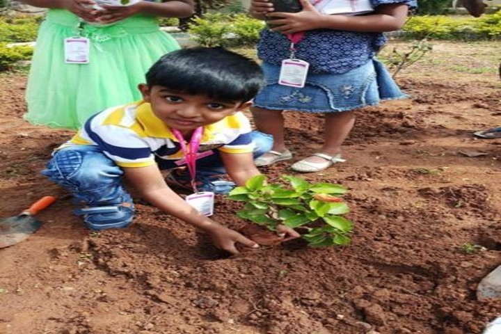 Anand Shiksha Kendra-Tree Plantation