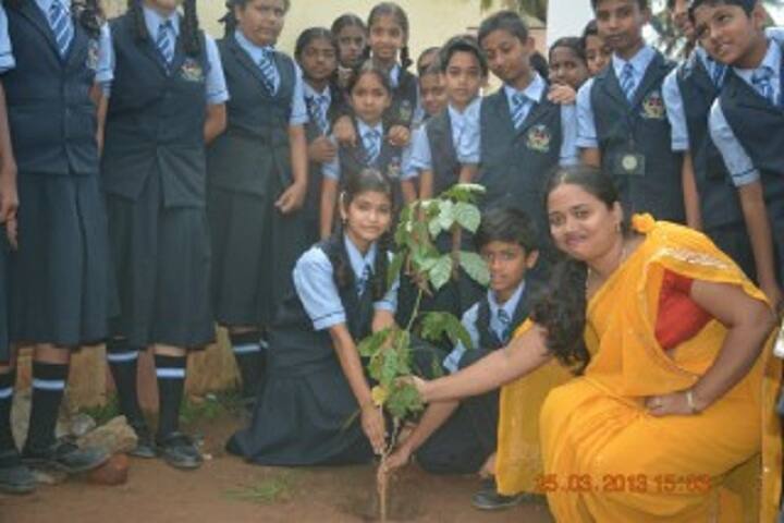 Aradhana Higher Primary School-Tree Plantation
