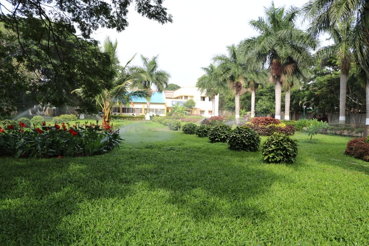 B E L School-Garden