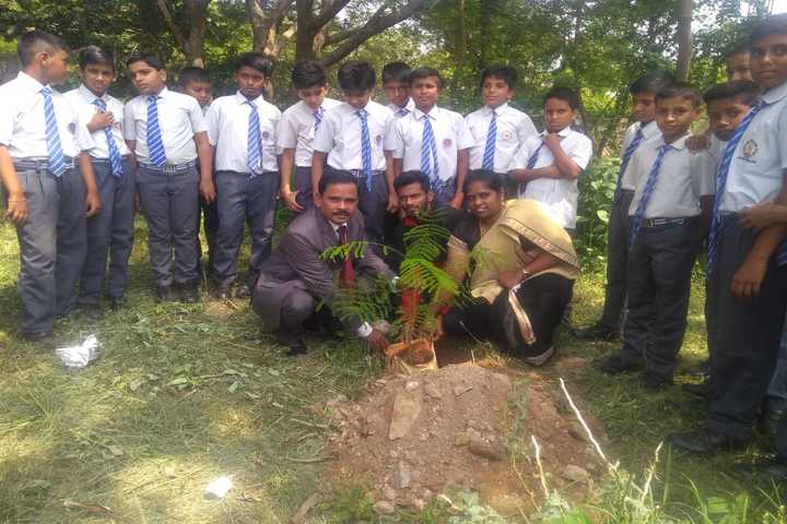 Baden Powell Public School-Plantation