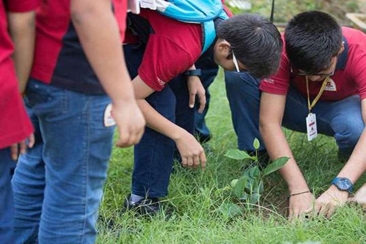 Orchids The International School-Tree Plantation