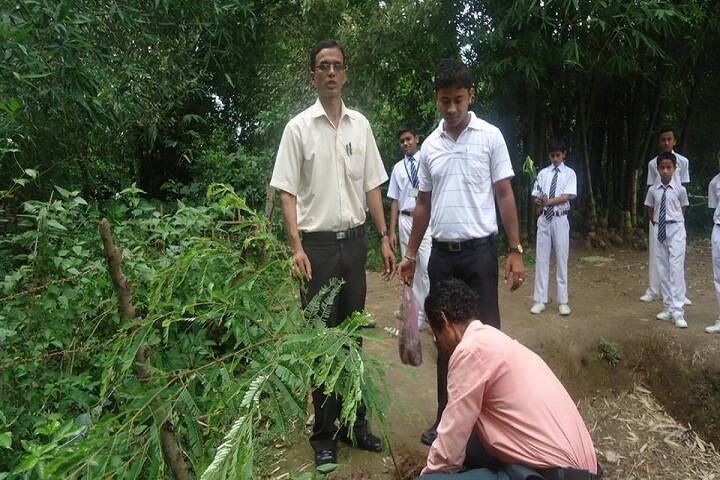Biswanath Jnan Bharati School-Tree Plantation