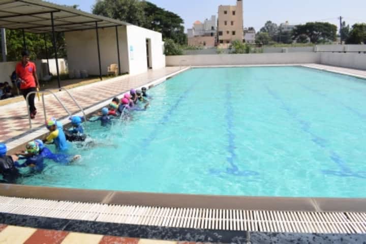 Chrysalis High-Swimming
