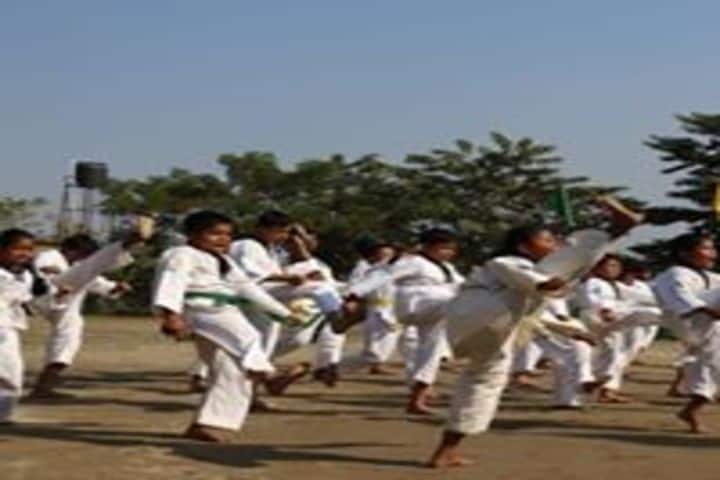 Brahmaputra Valley English Academy-Karate