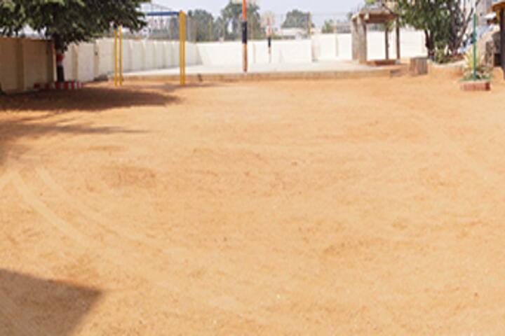 Dayananda Arya Vidya Public School-Playground