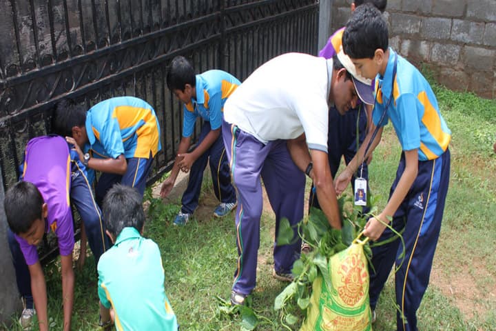 Excel Public School-Cleaness Activity