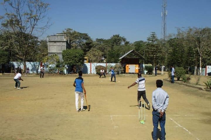 Central public school - cricket
