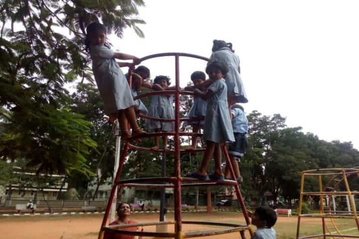 Hari Vidyalaya-Play Area
