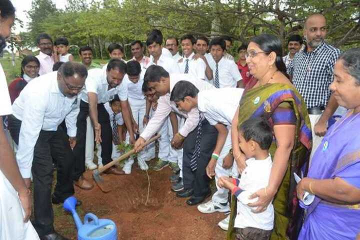 Jawahar Navodaya Vidyalaya-Tree Plantation