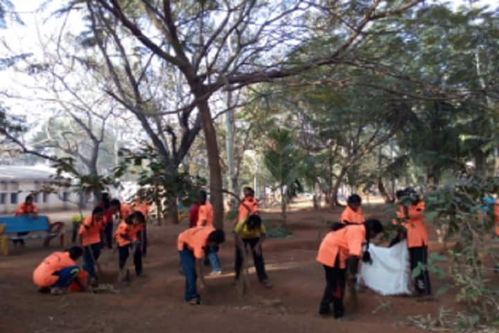 Jawahar Navodaya Vidyalaya-Swachhata Activity