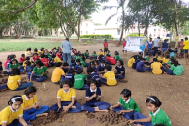 Jawahar Navodaya Vidyalaya-Seed Ball Programme