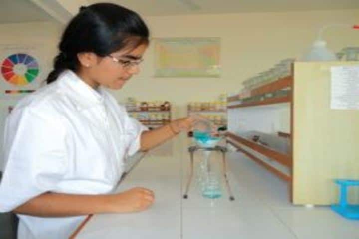 Delhi public school kamrup - chemistry lab