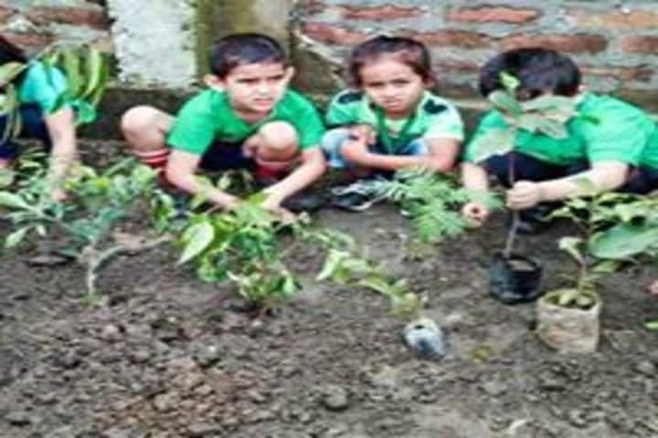 Delhi public school kamrup - go green