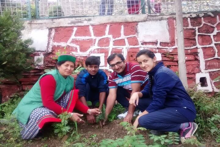 Jawahar Navodaya Vidyalaya-Tree Plantation