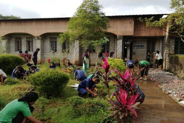 Jawahar Navodaya Vidyalaya-Tree Plantation