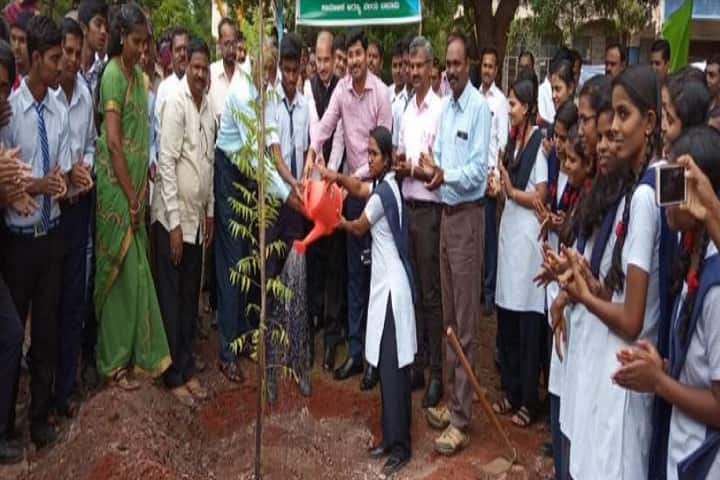 Jawahar Navodaya Vidyalaya-Plantation