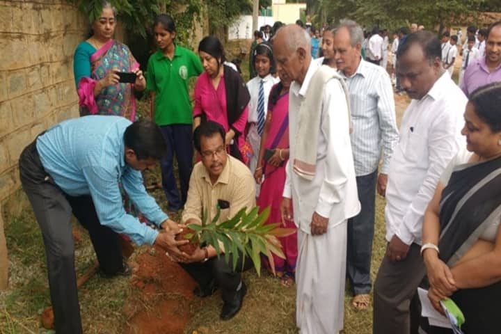 Jawahar Navodaya Vidyalaya-Plantation