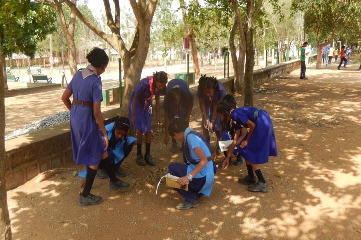 Kendriya Vidyalaya- Swatch Bharat