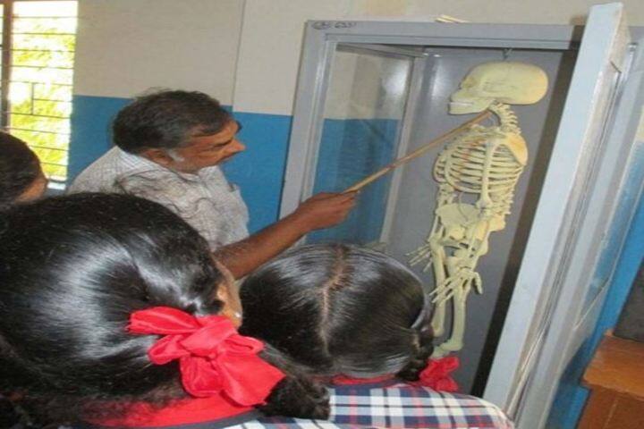 Kendriya Vidyalaya-Biology lab