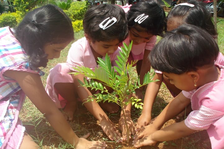 MHNational Public English School-Plantation