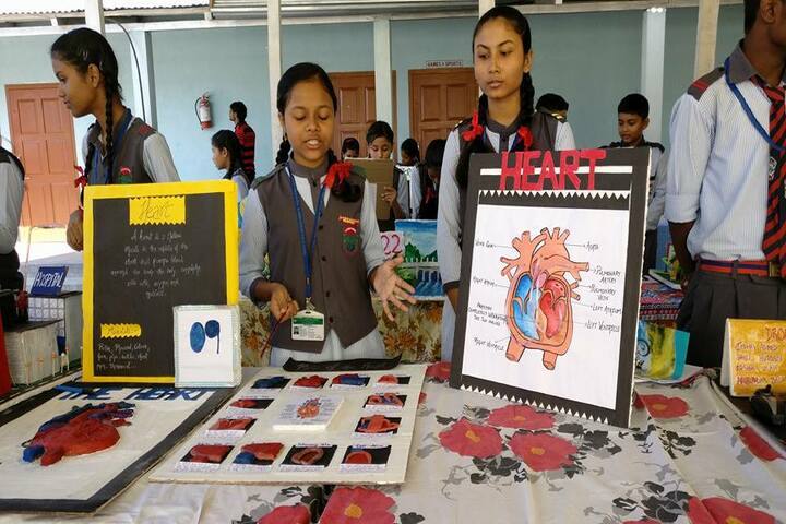 Green meadows school-Science Exhibition