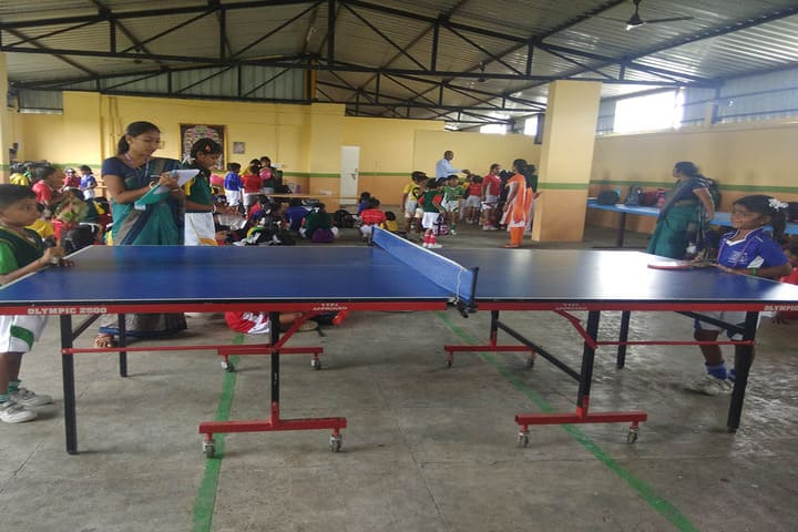Mother Teresa International School-Indoor Games