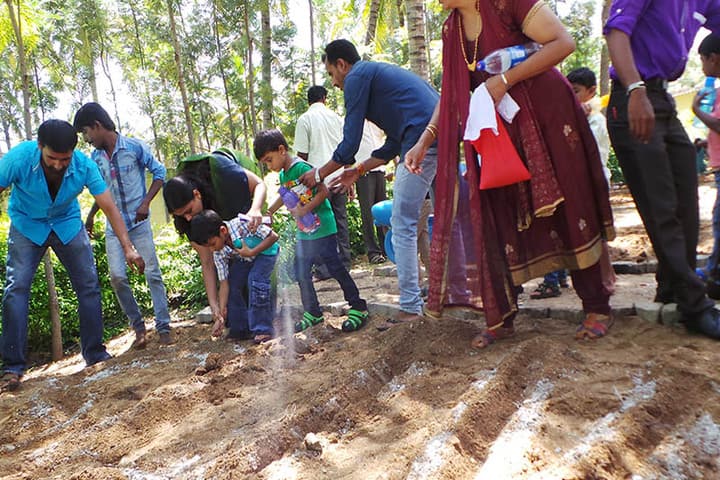 Mother Teresa International School-Plantation Day
