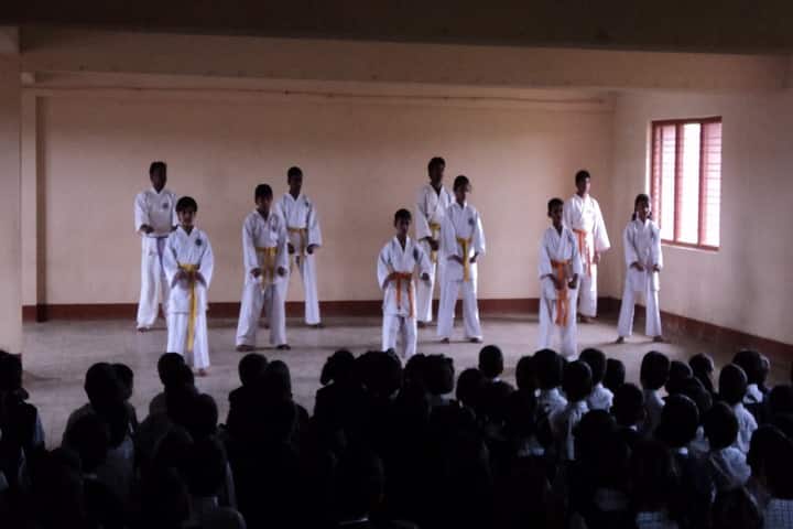 Mount Carmel School-Karate
