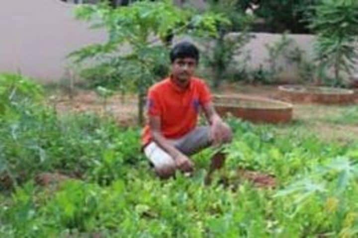 National Public School-Plantation Day