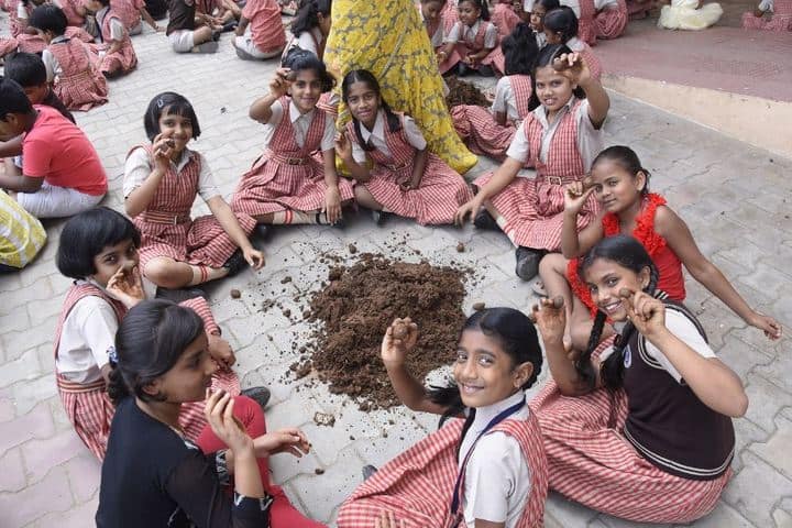National Public School-Seed Ball
