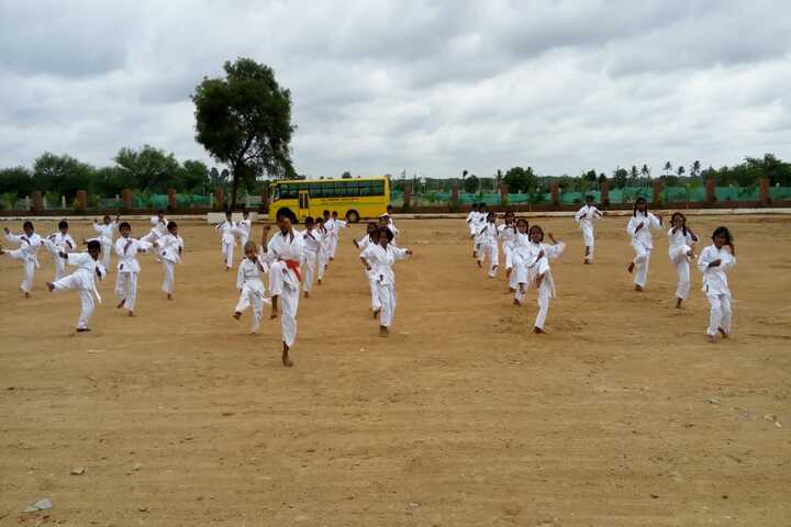 New Oxford School-Karate