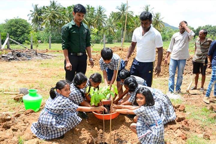 Prudence International Residential School-Tree Plantation