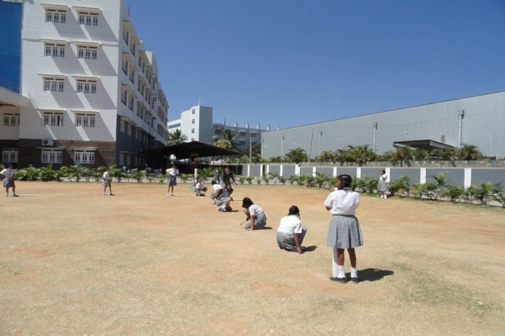 RMS International School-Sports