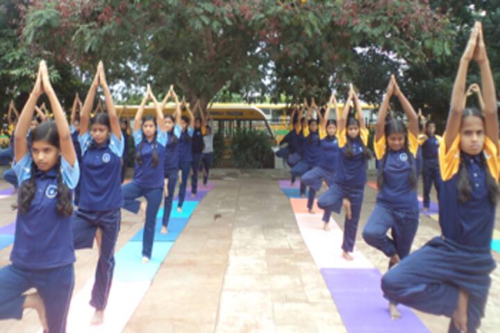 Sri Venkateshwara Central School-Yoga