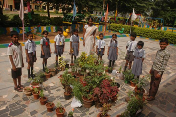 S V Sunrise English Primary School-Environment-Day
