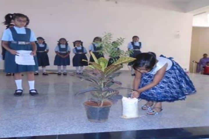 S R N Mehta School-Environment Day