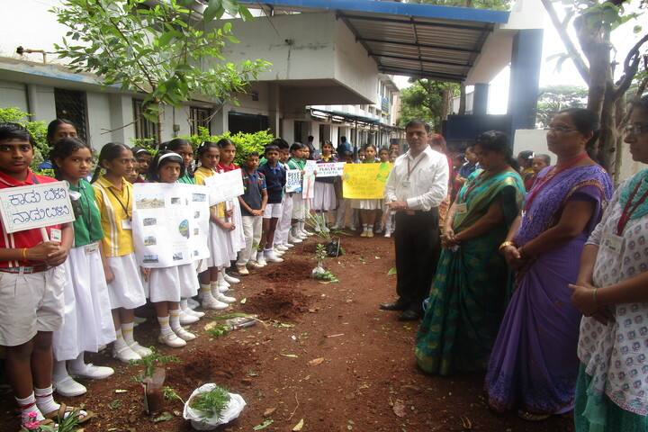 Shaikh Central School-Environment Day