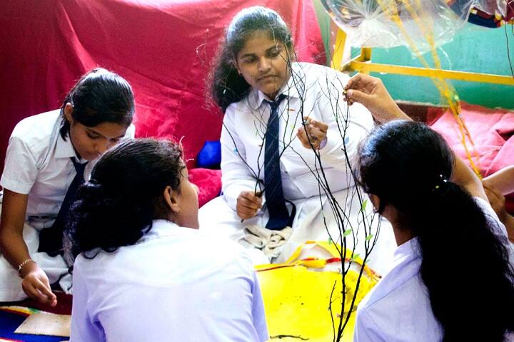 Jawahar Navodaya Vidyalaya-Arts educations